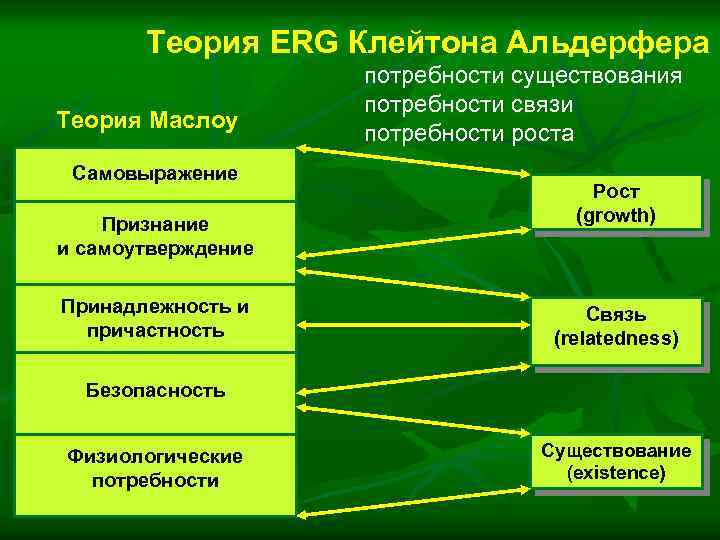 Теория ERG Клейтона Альдерфера Теория Маслоу Самовыражение Признание и самоутверждение Принадлежность и причастность потребности