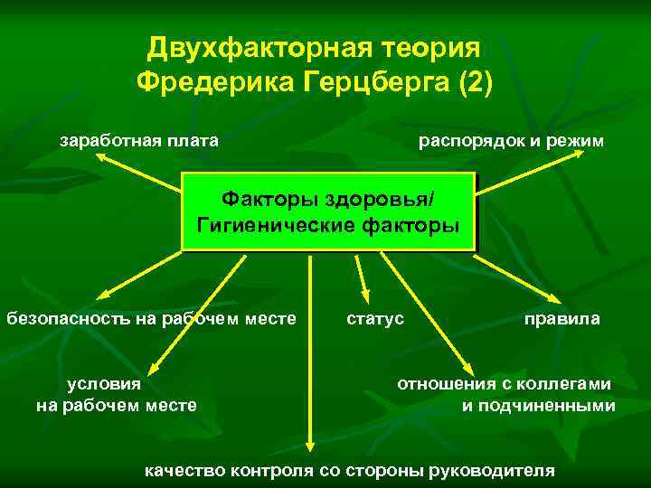 Двухфакторная теория Фредерика Герцберга (2) заработная плата распорядок и режим Факторы здоровья/ Гигиенические факторы