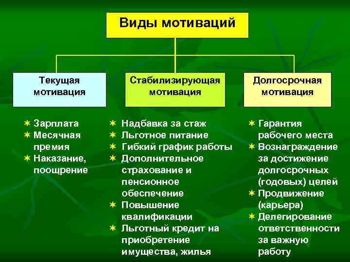 Виды мотиваций Текущая мотивация ¬ Зарплата ¬ Месячная премия ¬ Наказание, поощрение Стабилизирующая мотивация