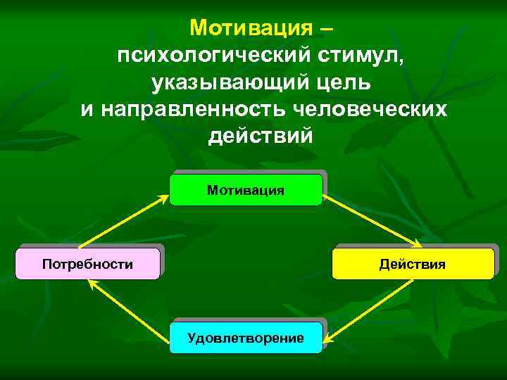 Мотивация – психологический стимул, указывающий цель и направленность человеческих действий Мотивация Потребности Действия Удовлетворение