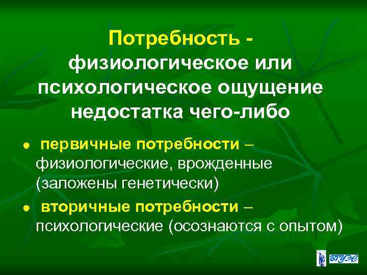 Потребность физиологическое или психологическое ощущение недостатка чего-либо первичные потребности – физиологические, врожденные (заложены генетически)