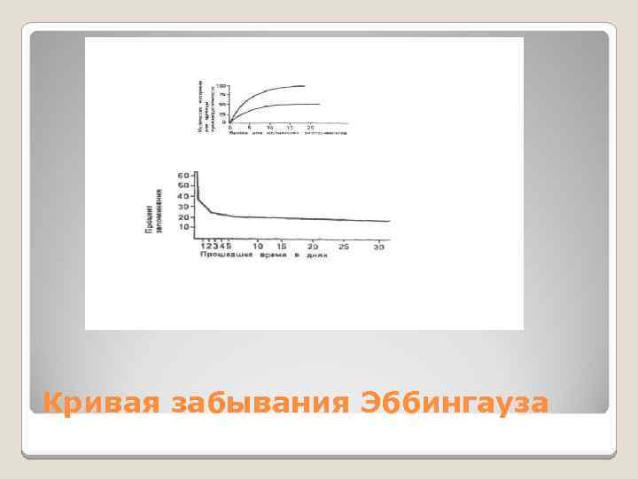 Кривая забывания Эббингауза 