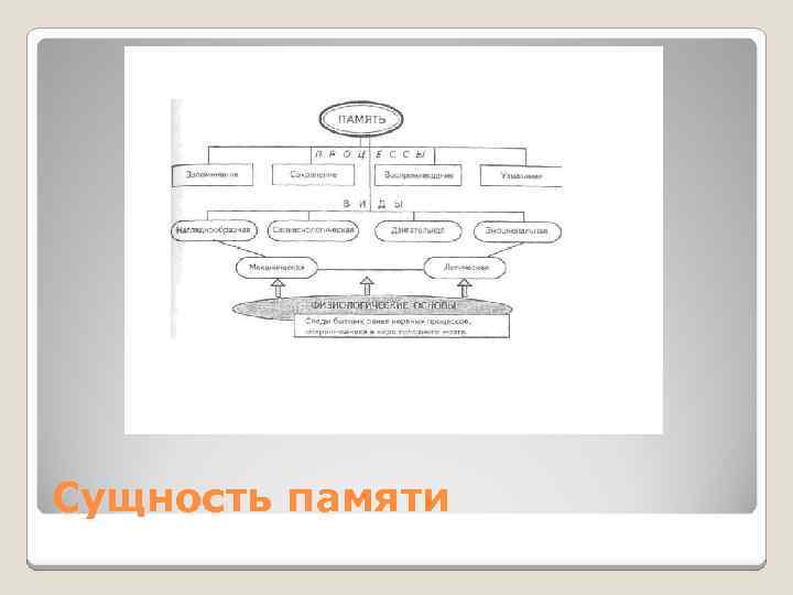 Сущность памяти 