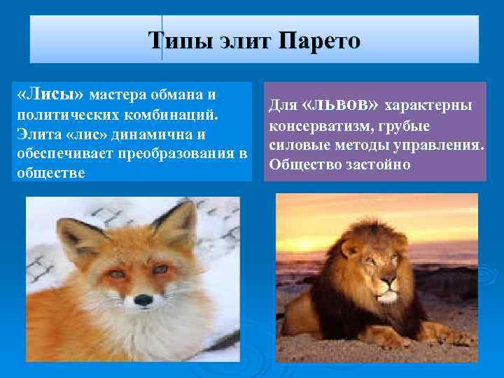 Типы элит Парето «Лисы» мастера обмана и политических комбинаций. Элита «лис» динамична и обеспечивает