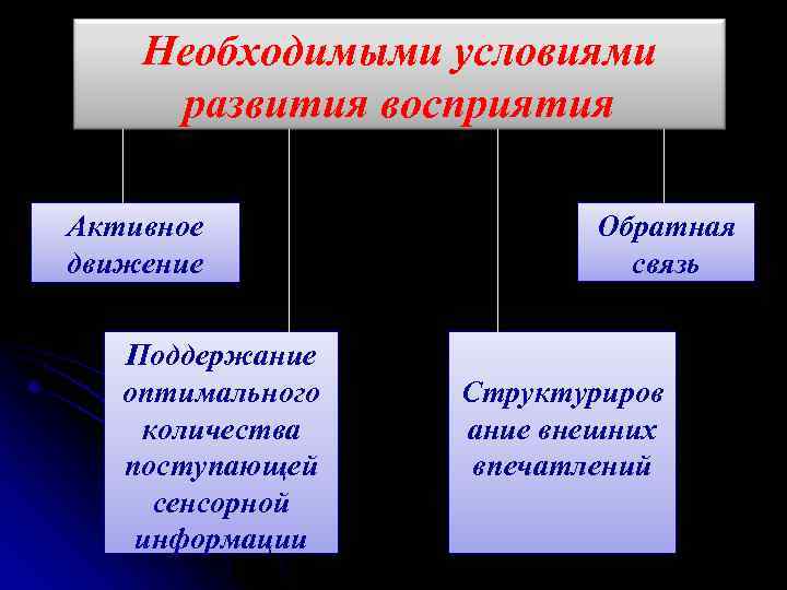 Необходимыми условиями развития восприятия Активное движение Поддержание оптимального количества поступающей сенсорной информации Обратная связь
