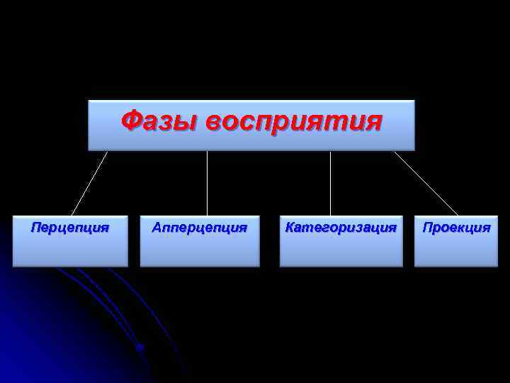 Фазы восприятия Перцепция Апперцепция Категоризация Проекция 