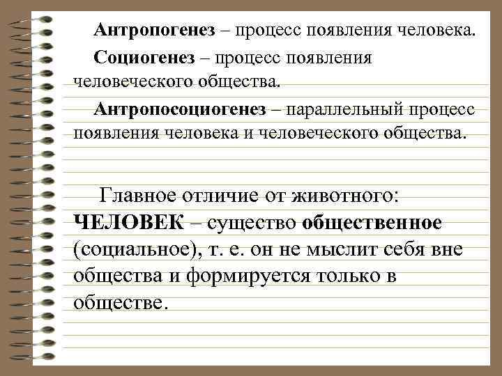 Как протекали процессы антропогенеза и социогенеза