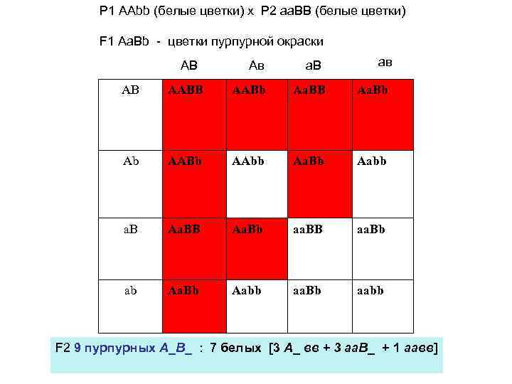 Р 1 ААbb (белые цветки) х Р 2 аа. ВВ (белые цветки) F 1