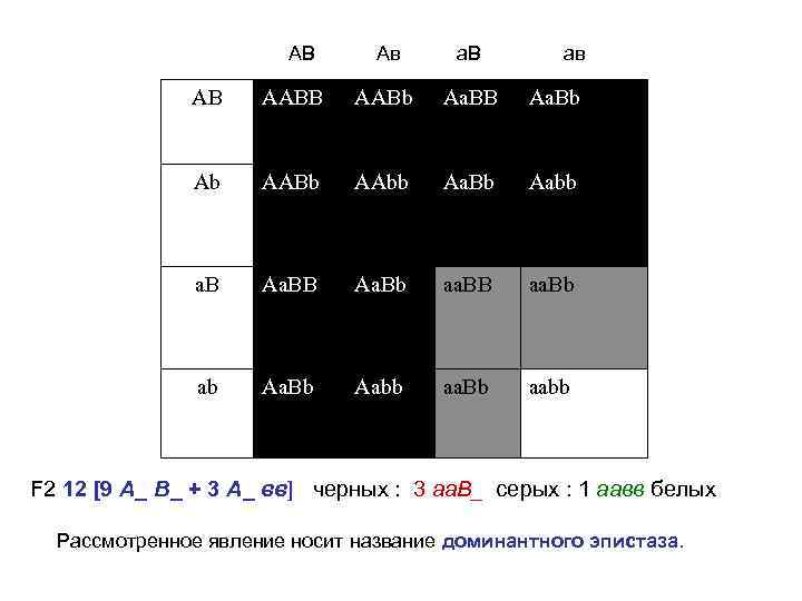 АВ Ав а. В ав AB AABb Aa. BB Aa. Bb Ab AABb AAbb