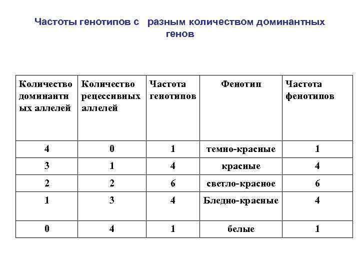 Частоты генотипов с разным количеством доминантных генов Количество Частота доминантн рецессивных генотипов ых аллелей