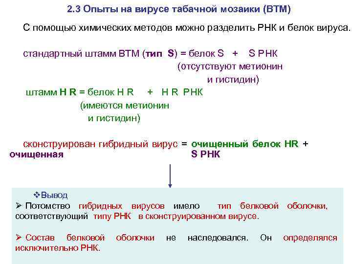 2. 3 Опыты на вирусе табачной мозаики (ВТМ) С помощью химических методов можно разделить