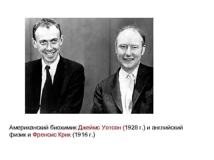 Американский биохимик Джеймс Уотсон (1928 г. ) и английский физик и Френсис Крик (1916