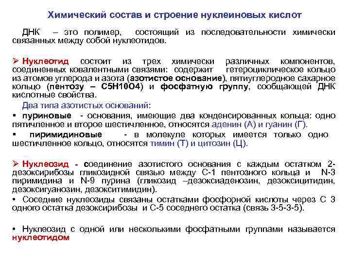Химический состав и строение нуклеиновых кислот ДНК – это полимер, состоящий из последовательности химически