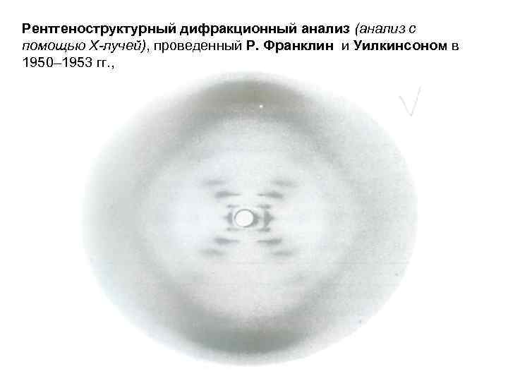 Рентгеноструктурный дифракционный анализ (анализ с помощью Х-лучей), проведенный Р. Франклин и Уилкинсоном в 1950–