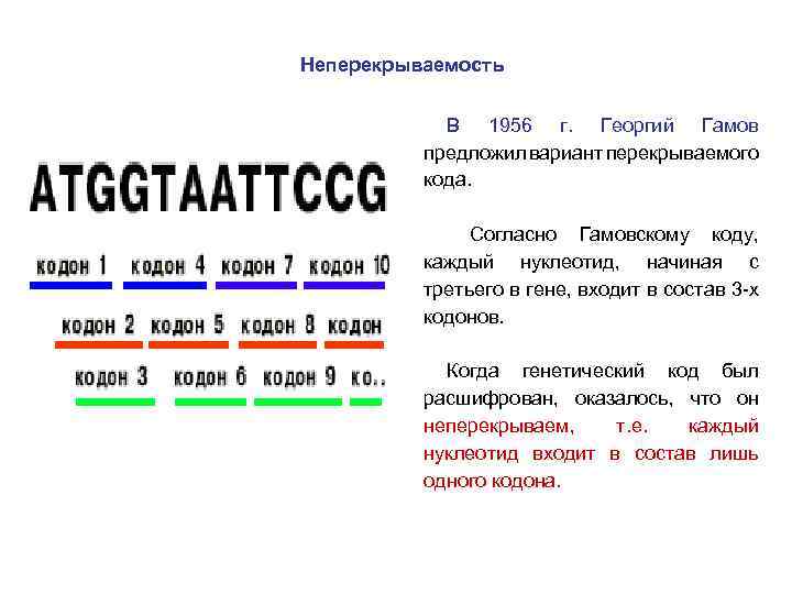 Согласно коду. Неперекрываемость генетического кода это. Генетический код не перекрывается. Неперекрываемость это в биологии. Неперекрываемость генетического кода примеры.