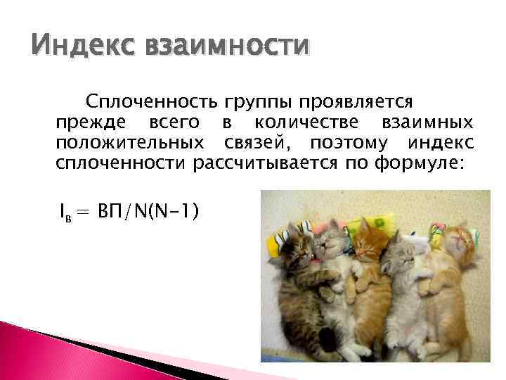 Индекс взаимности Сплоченность группы проявляется прежде всего в количестве взаимных положительных связей, поэтому индекс