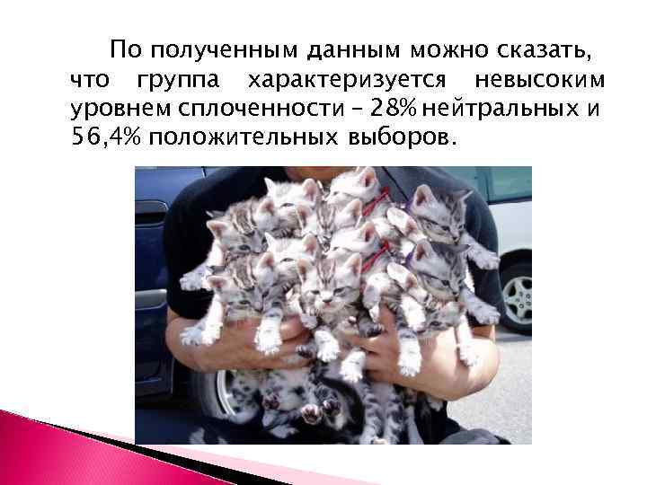 По полученным данным можно сказать, что группа характеризуется невысоким уровнем сплоченности – 28% нейтральных