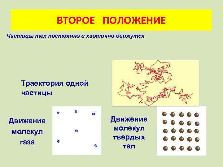 ВТОРОЕ ПОЛОЖЕНИЕ Частицы тел постоянно и хаотично движутся Траектория одной частицы Движение молекул газа