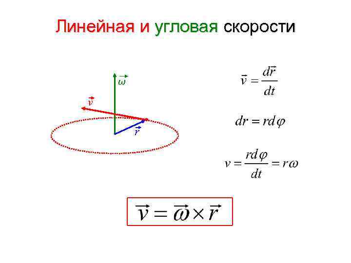 Линейная и угловая скорости ω v r 