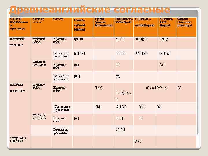 Древнеанглийские согласные Способ образовани я преграды наличие голоса долгота Губногубные bilabial смычные шумные noise