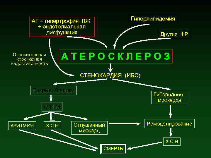 Гиперлипидемия АГ + гипертрофия ЛЖ + эндотелиальная дисфункция Относительная коронарная недостаточность Другие ФР АТЕРОСКЛЕРОЗ