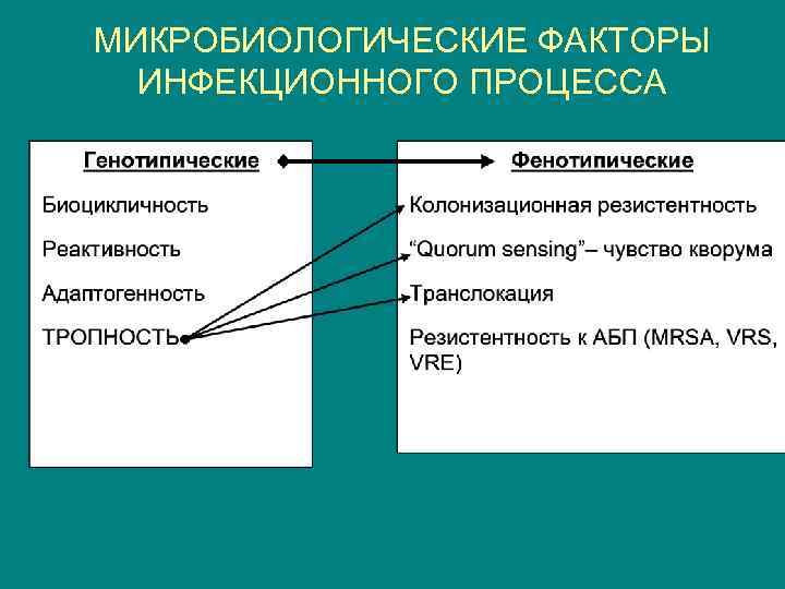 МИКРОБИОЛОГИЧЕСКИЕ ФАКТОРЫ ИНФЕКЦИОННОГО ПРОЦЕССА 