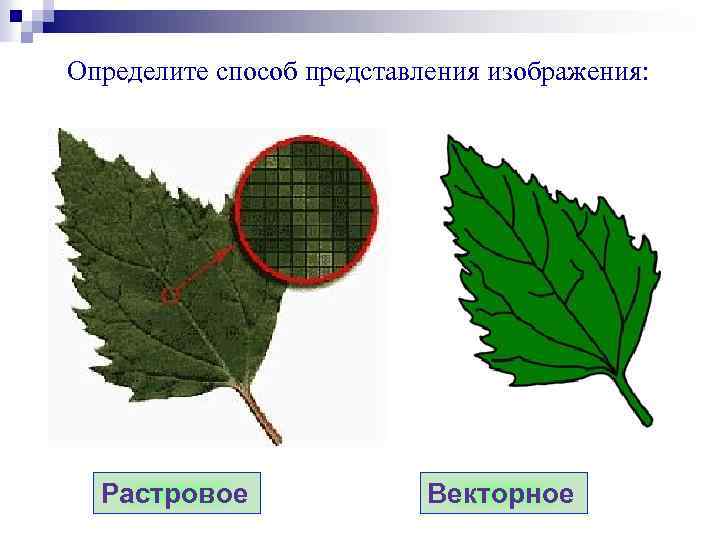 Определите способ представления изображения: Растровое Векторное 