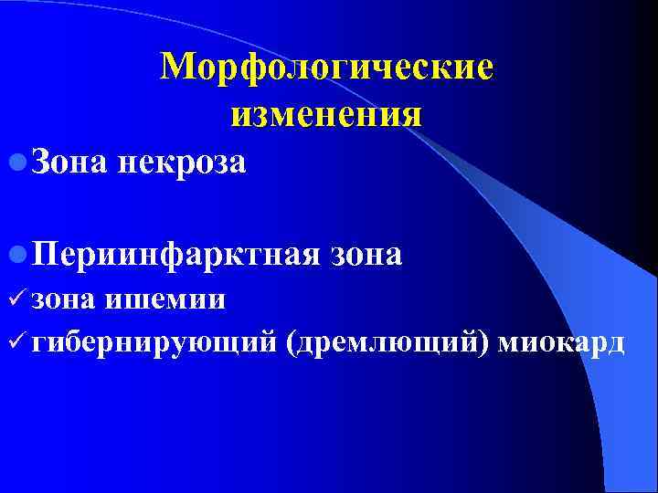 Морфологические изменения l Зона некроза l Периинфарктная ü зона ишемии ü гибернирующий (дремлющий) миокард