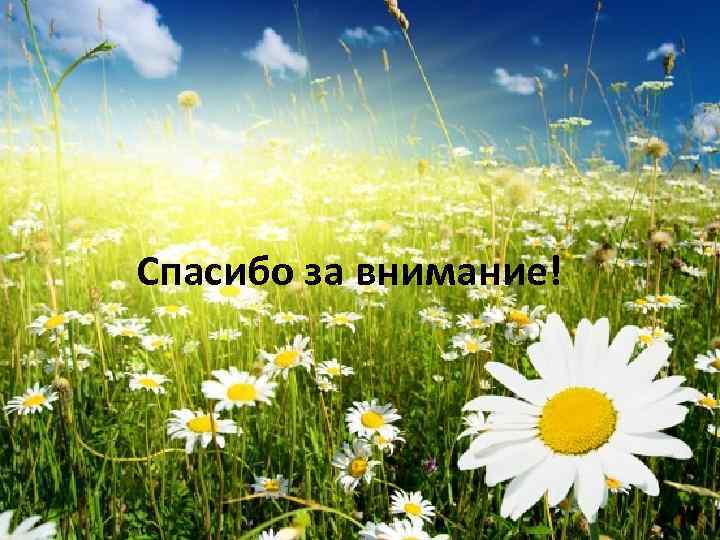 Спасибо за внимание! 