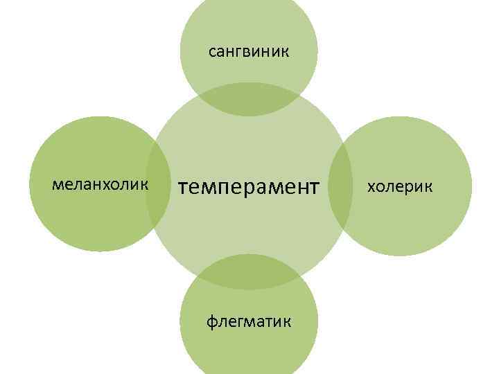 сангвиник меланхолик темперамент флегматик холерик 