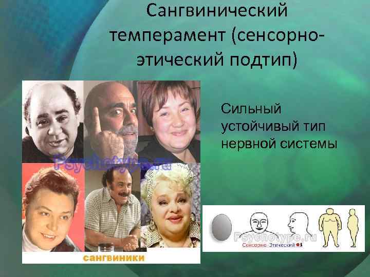 Сангвинический темперамент (сенсорноэтический подтип) Сильный устойчивый тип нервной системы 