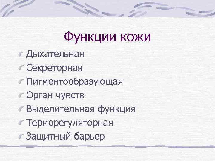 Функции кожи Дыхательная Секреторная Пигментообразующая Орган чувств Выделительная функция Терморегуляторная Защитный барьер 