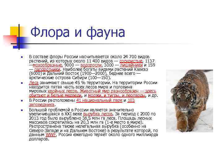 Флора и фауна n n В составе флоры России насчитывается около 24 700 видов