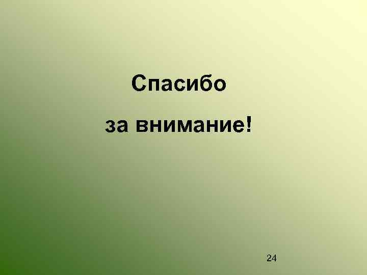 Спасибо за внимание! 24 