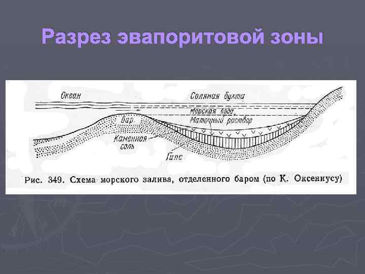 Разрез эвапоритовой зоны 