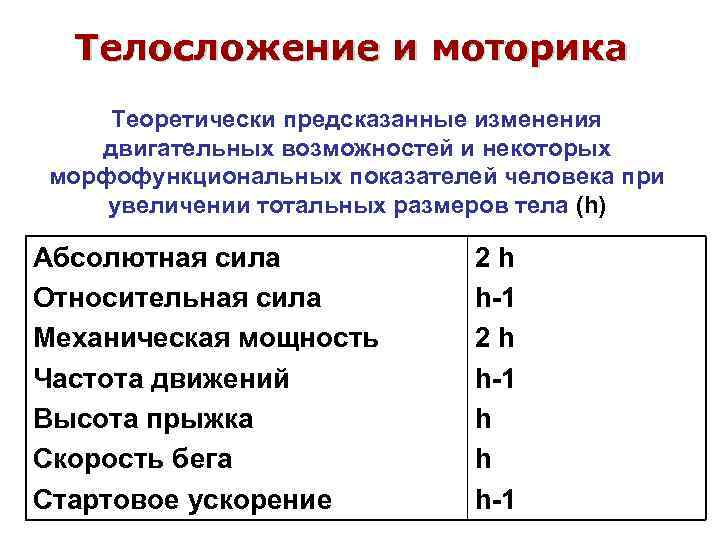 Телосложение и моторика Теоретически предсказанные изменения двигательных возможностей и некоторых морфофункциональных показателей человека при