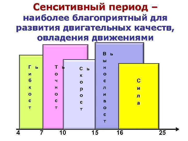 Сенситивный период – наиболее благоприятный для развития двигательных качеств, овладения движениями Т ь о