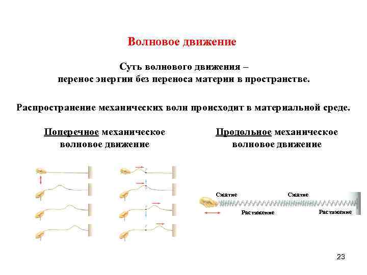 Волновое движение Суть волнового движения – перенос энергии без переноса материи в пространстве. Распространение