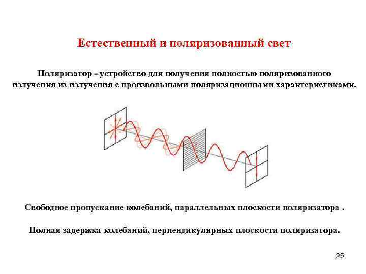 Естественный и поляризованный свет Поляризатор - устройство для получения полностью поляризованного излучения из излучения