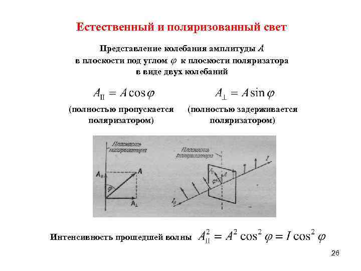 Естественный и поляризованный свет Представление колебания амплитуды А в плоскости под углом к плоскости