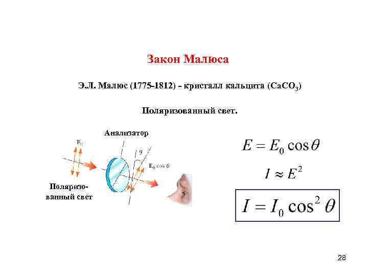 Закон Малюса Э. Л. Малюс (1775 -1812) - кристалл кальцита (Ca. CO 3) Поляризованный