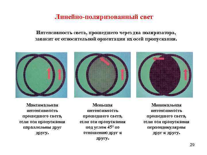 Линейно-поляризованный свет Интенсивность света, прошедшего через два поляризатора, зависит от относительной ориентации их осей