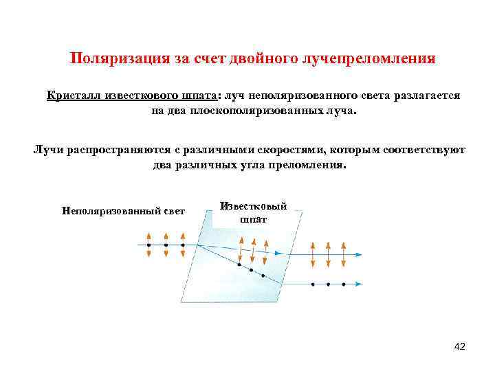 Поляризация за счет двойного лучепреломления Кристалл известкового шпата: луч неполяризованного света разлагается на два