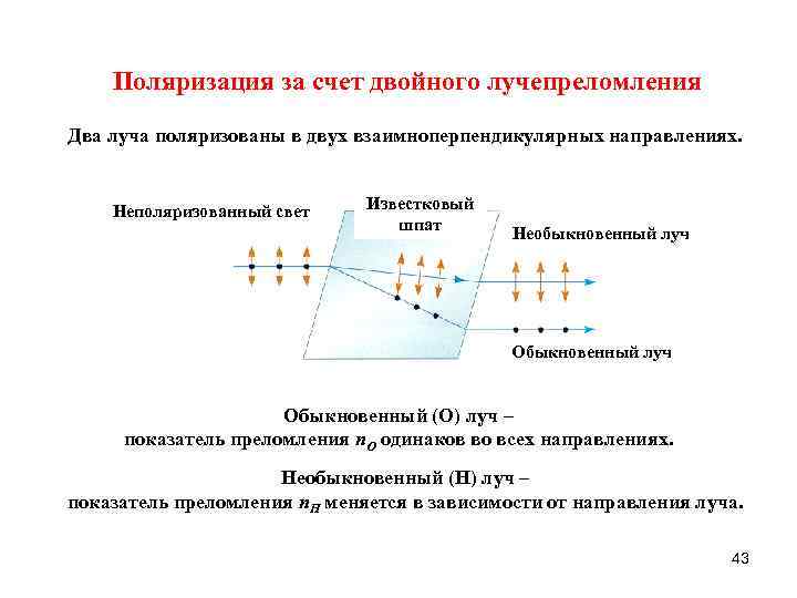 Поляризация за счет двойного лучепреломления Два луча поляризованы в двух взаимноперпендикулярных направлениях. Неполяризованный свет