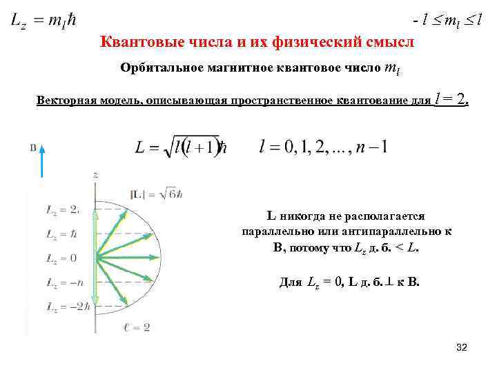 - l ml l Квантовые числа и их физический смысл Орбитальное магнитное квантовое число