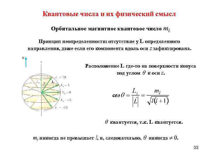 Квантовые числа и их физический смысл Орбитальное магнитное квантовое число ml Принцип неопределенности: отсутствие