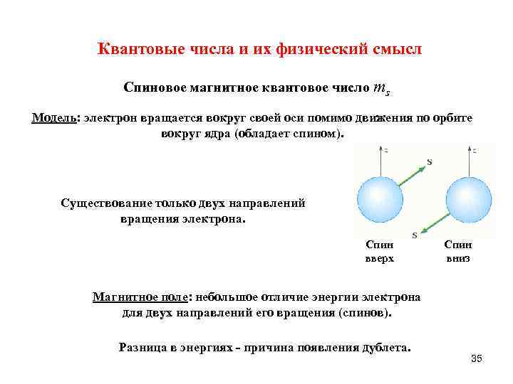 Магнитное квантовое число. Квантовые числа и их смысл. Спиновое и магнитное спиновое квантовые числа. Физический смысл орбитального и магнитного квантовых чисел..