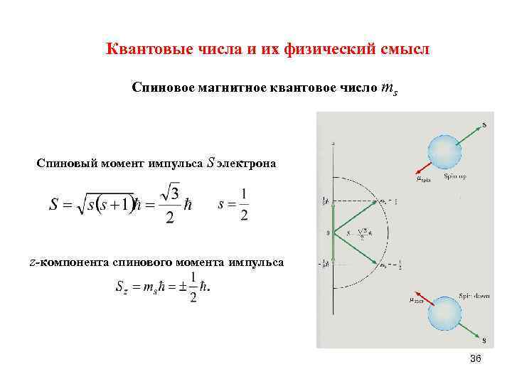 Магнитное квантовое