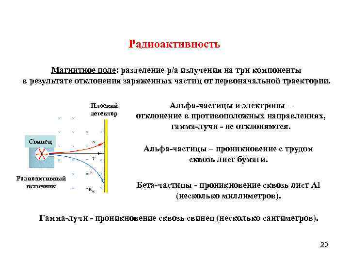 Радиоактивность Магнитное поле: разделение р/а излучения на три компоненты в результате отклонения заряженных частиц