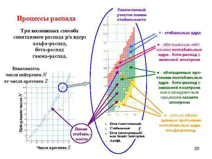 Процессы распада Увеличенный участок линии стабильности Три возможных способа спонтанного распада р/а ядер: альфа